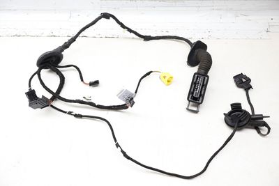 Door Wiring Harness 8K0971030AM