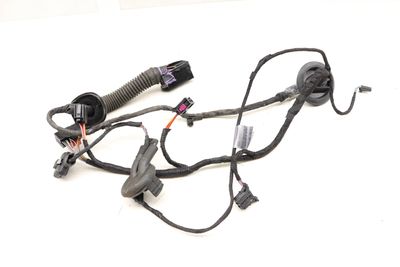 DOOR WIRING HARNESS 8K0971687AG
