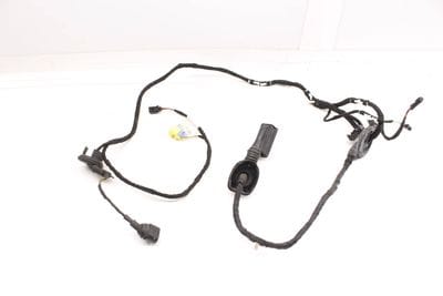 Door Wiring Harness 8R0971029AE