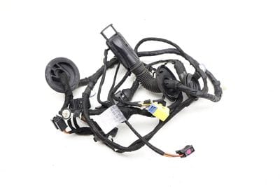 Door Wiring Harness 8R0971029BB