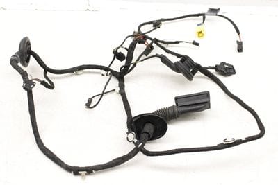 Door Wiring Harness 8R0971030BN