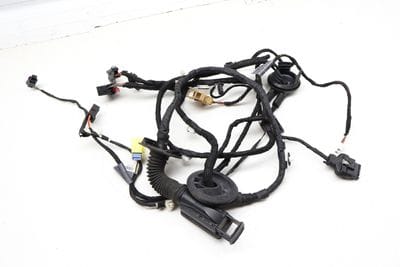 Door Wiring Harness 8R0971030CP