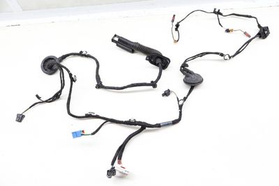 DOOR WIRING HARNESS 8W0971030AN