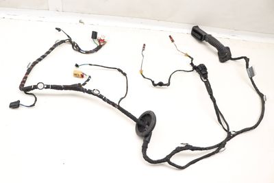 DOOR WIRING HARNESS 8W0971687BP