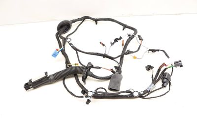 DOOR WIRING HARNESS 8W6971029CS