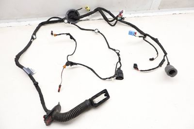 DOOR WIRING HARNESS 8W8971029Q