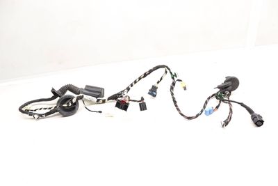 DOOR WIRING HARNESS