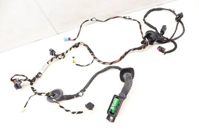 DOOR WIRING HARNESS