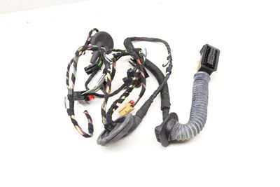 DOOR WIRING HARNESS