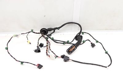 DOOR WIRING HARNESS