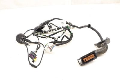 DOOR WIRING HARNESS