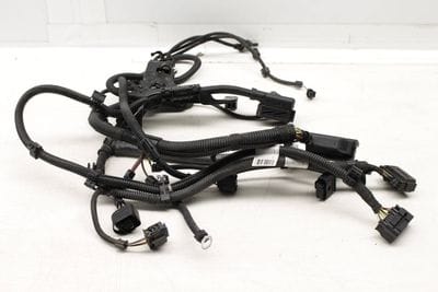 Electric Motor Wiring Harness / Loom 12518653789