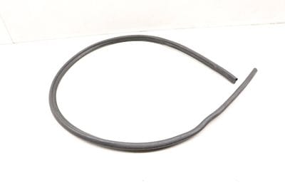 Engine Bay / Hood Seal 51762990363