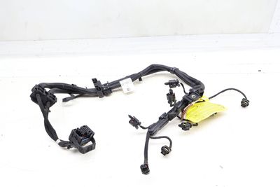 Engine Ignition Module Wiring Harness 12518482361