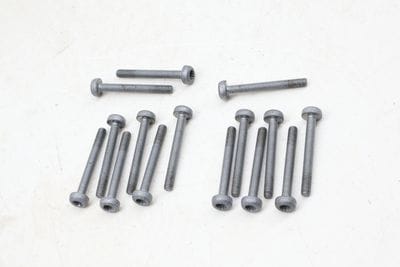 Engine Valve Cylinder Head Cover Screw / Bolt Set (15) N91254401
