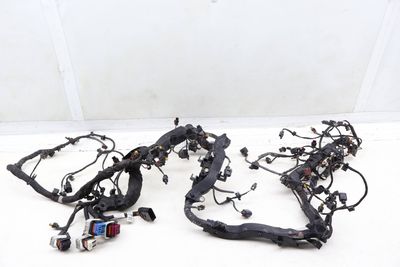 Engine Wire / Wiring Harness 0P2971595DB