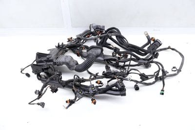 Engine Wire / Wiring Harness