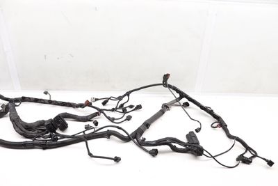 ENGINE WIRING HARNESS 420971713AN