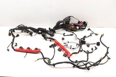ENGINE WIRING HARNESS 4G1971072LH