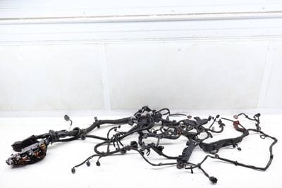 Engine Wiring Harness