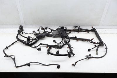 Engine Wiring Harness