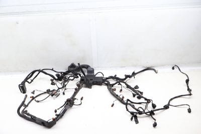 Engine Wiring Harness
