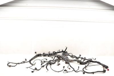 Engine Wiring Harness