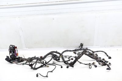 Engine Wiring Harness