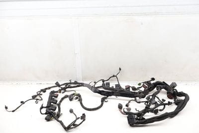 Engine Wiring Harness