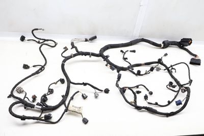 ENGINE WIRING HARNESS FPLA9H589AG