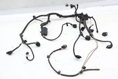 Engine Wiring Harness (MODULE 1) 12517630862