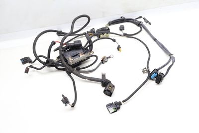 ENGINE WIRING HARNESS (MODULE 1) 8605136