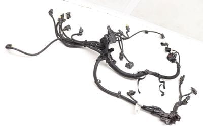 Engine Wiring Harness (MODULE 1) 12518743493