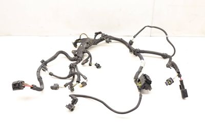 ENGINE WIRING HARNESS (MODULE 2) 7641661