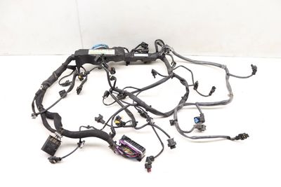 Engine Wiring Harness