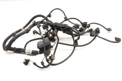 ENGINE WIRING HARNESS (SENSORIC MODULE 1) 7620676