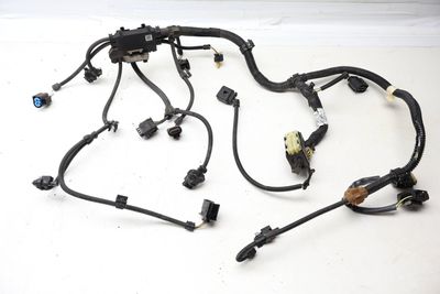 ENGINE WIRING HARNESS (SENSORIC MODULE 1) 7641650