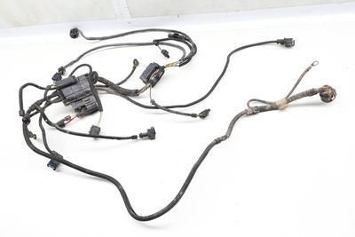 ENGINE WIRING HARNESS (SENSORIC MODULE 1) 7646877