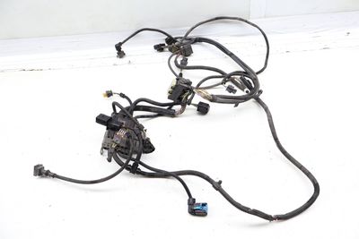 ENGINE WIRING HARNESS (SENSORIC MODULE 1) 8605140