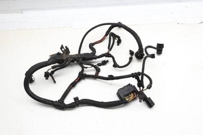 Engine Wiring Harness (SENSORIC Module 2) 12517619139