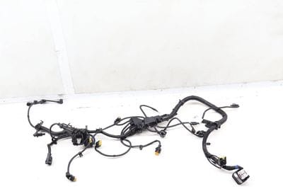 Engine Wiring Harness (SENSORIC Module 2) 5A01D59
