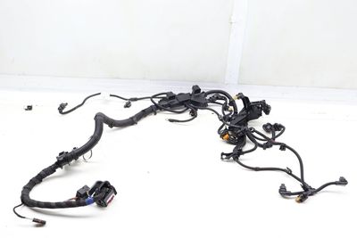 ENGINE WIRING HARNESS (SENSORIC MODULE 2) 5A01D59