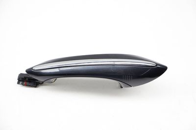 Exterior Comfort Access Door Handle 7305330