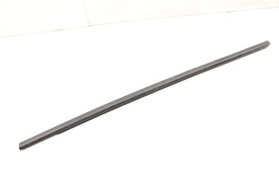 Exterior Door Channel Molding / Seal 51332990303