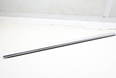Exterior Door Window Belt Molding / Seal 7483130