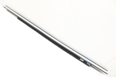 Exterior Door Window Slot Seal / Trim 4H4853764A