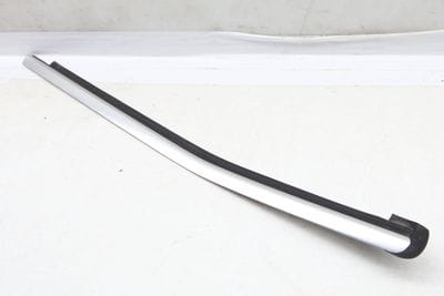 Exterior Quarter Window Slot Seal / Trim 1666902180