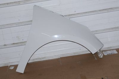 Fender 51647375894