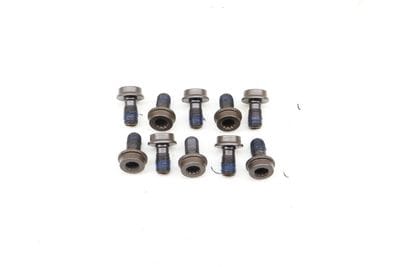 Flywheel Screw / Bolt Set (10) N90539801