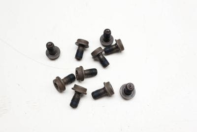 Flywheel Screw / Bolt Set (10) N90539801